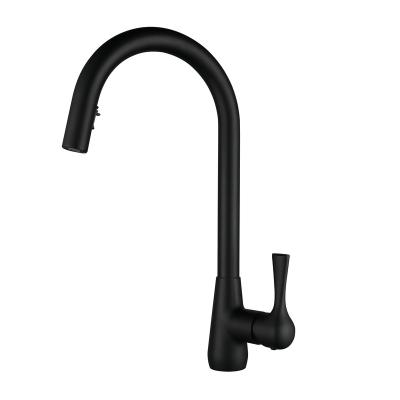 China Hot Selling Sense Faucets And High Quality Luxury Kitchen Faucet Pull Out Water Faucet Heater Tap for sale