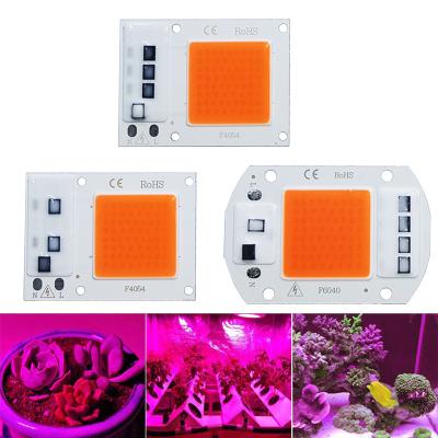 China No Need Driver No Need Driver For Growth Flower Seedling Grow Plant LightingLED Grow Light COB Light Chip Full Spectrum AC 220V 10W 20W 30W 50W for sale