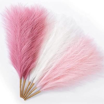 China Drop shipping environmental protection 50 cm white pink green pampas grass artificial plant for homestay for sale