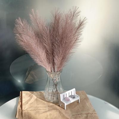 China Green Environmental Protection 50cm-1# Artificial Chocolate Pampas Grass For House Decor for sale