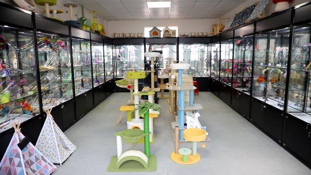 Verified China supplier - Huizhou Baiyi Pet Products Co., Ltd.