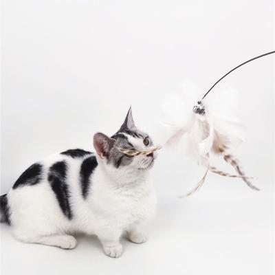 China Stocked Long Steel Wire Pole Riddle Cat Stick Suction Cup with Replacement Fluffy Head Bell Feather Self Bite-Resistant Cat Riddle St for sale