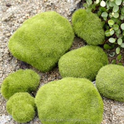 China Chinese Ornaments Landscape Garden Decoration Simulation Moss Irregular Green Stones Garden Decoration Dedicated Micro Garden Decoration for sale