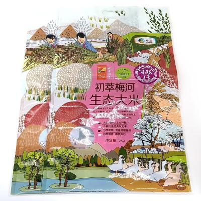 China Moisture proof printed rice bags heat seal 5kg plastic bag packaging with handle rice bag for sale à venda