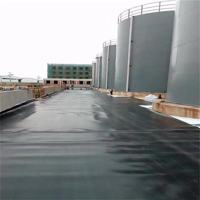 China Modern high quality low cost landfill geomembrane and geomembrane liner. for sale