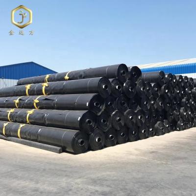 China Modern HDPE Geomembrane Fish Pond Farm Waterproof and Oxidation Pond Seepage Control for sale