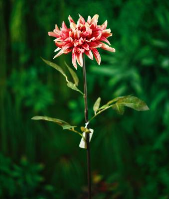 China High Simulation Real Touch Richicgarden Dahlia Stem Wholesale Artificial Flower Arrangements for sale