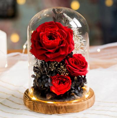 China Richicgarden True Forever Preserved Eternal Valentines Day Gift Roses Eternal Dry In Glass Dome With LED 15*20 for sale