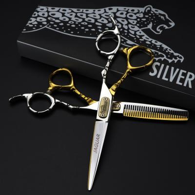 China Cutting Scissors 6.0 Inch Gold Sliver Quality Professional Hair Cutting Shears Hairdresser Barber Hair Scissors for sale