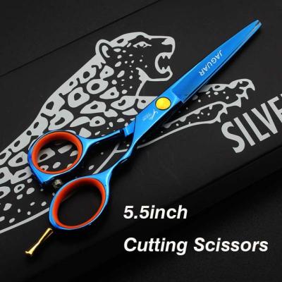 China Japan 440C Professional Hairdressing Scissors Hair Cutting Scissors 5.5inch Silver Hairdressing Scissors Salon Thinning Scissors for sale