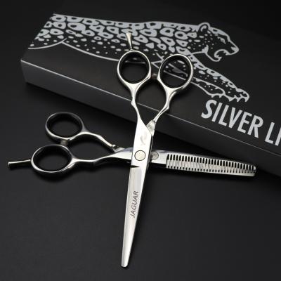 China New Fashion 5.5/6.0/6.5 Inch Scissors Flat Tooth Hair Thinning Scissors Scissors Design Sliver Beauty Barber Scissors for sale