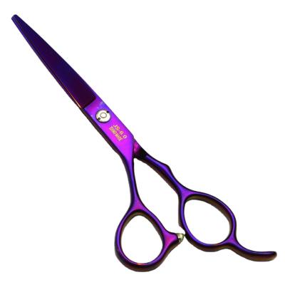 China Thinning Scissors Be Widely Known 6.0 Inch Beauty Barber Flat Scissors Left Hand Hair Scissors FL-02 for sale