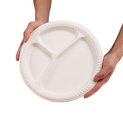 China Amazon bestselling disposable trademark compost board custom biodegradable disposable tableware for sale