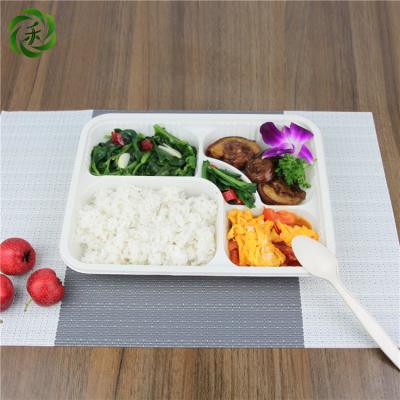 China Disposable Factory Directly Supply Biodegradable Food Containers Cornstarch Pla Lunch Box for sale