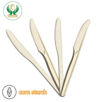 China Disposable hot sale eco-friendly biodegradable disposable cake knife c for supply for sale