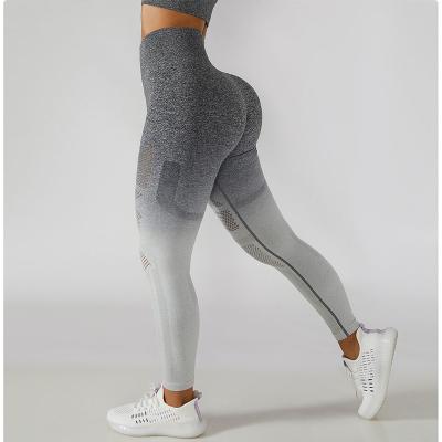 China B&M Custom Gym Active Breathable Yoga Wear Pants Running Booty Compression High Waist Sports Gaiters Workout Tight Seamless Fitness Women for sale