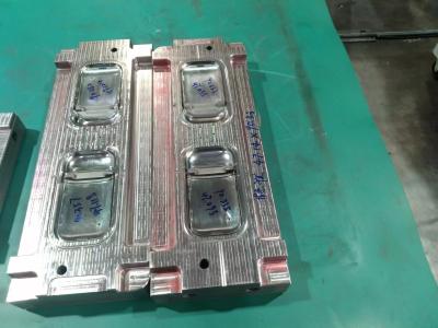 China IP66 OEM ODM Plastic Injection Mould Textured Surface Plastic Injection Mold Tooling for sale