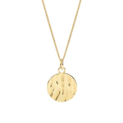 China FASHIONABLE Minimalist 18K Gold Jewelry Necklace 925 Silver Coin Medallion Pendant Necklace for sale