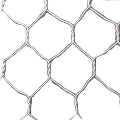 China Corrosion Resistance Gabion Hexagonal Wire Mesh Dog Netting Farm Fence Mesh Hexagonal Mesh Making Wire for sale