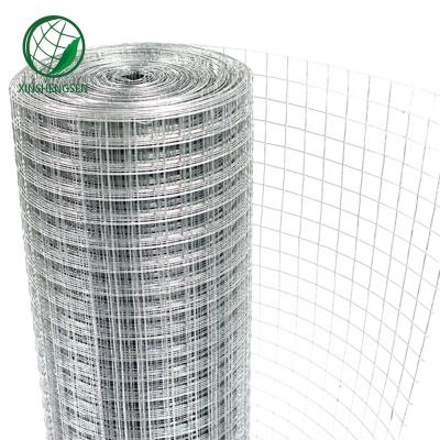 China Strong 4x4 Welded Wire Mesh 6 Gauge Welded Wire Mesh Fence Panels Galvanized Welded Wire Mesh Roll for sale