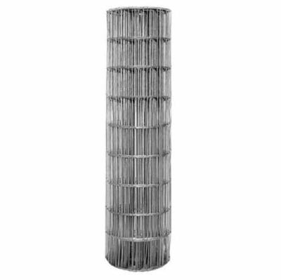 China Plain Weave 1Inch 1mx30m Galvanized Welded Wire Mesh PVC Coated Cheap Price Welded Wire Mesh Wire Mesh for sale