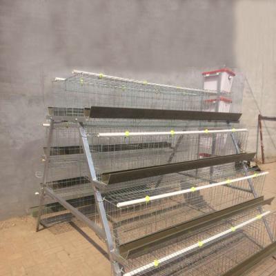 China chicken broiler breeding cage/chicken broiler cage/chicken cage cage for sale