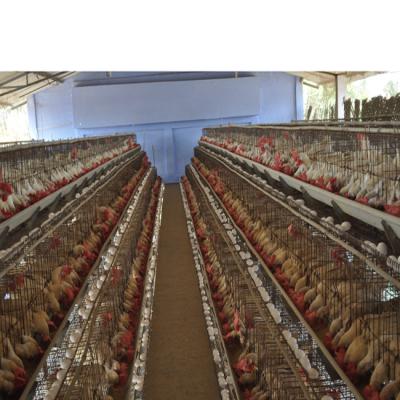 China High Quality Farms Metal Wire Mesh Laying Chicken Cage For Sale for sale