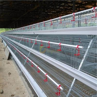 China Farms Layer Chicken Cage For Chicken Farm For Sri Lanka for sale