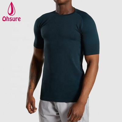 China OEM Fitness Bodybuilding Men's Activewear Anti-Shrink Workout Men's Seamless Summer Sportswear Tee for sale