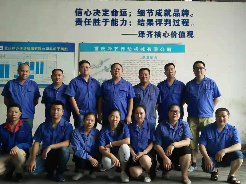 Verified China supplier - Chongqing Zeqi Transmission Machinery Co., Ltd.