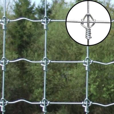 China Fence 2.5mm Diameter Electro Galvanized Sized Fence For Sheep / Deer / Cattle for sale