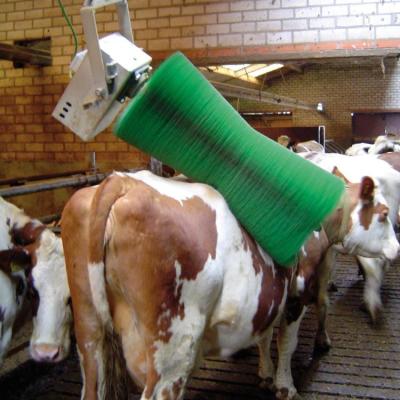 China Farms Farm Equipment Electric Motor Full Automatic Oscillating Cattle Massage Scratch Cow Body Cleaning Brush for sale