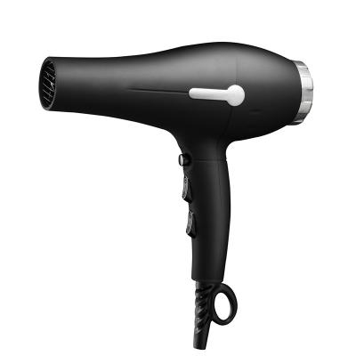 China 2021 Function Fashion AC Motor Wholesale Commercial Professional Hair Dryer 1800W Shot Fresh for sale