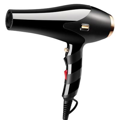 China 2021 New Function Style Fresh Pulled Salon Led Light Professional Hair Dryer With AC Motor 100% Copper for sale