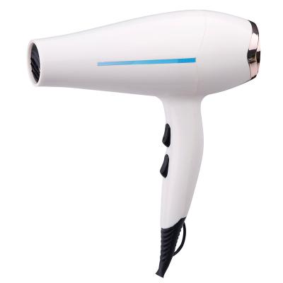 China 2021 Hotel DC 1600W Motor Household Hair Dryer Student Hair Blow Dryer For Home Use for sale