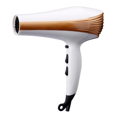 China 2021 New Hotel Student 1000W Household Hair Dryer With DC Motor For Home Use for sale