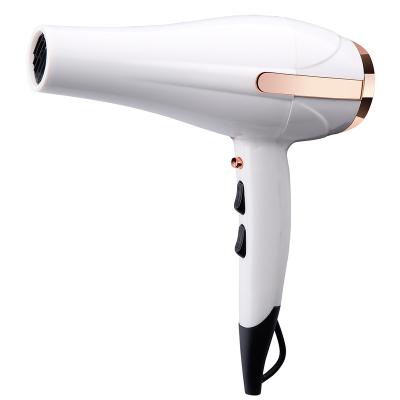 China 2021 Fashion 1800W DC Motor High Power Household Ionic Hair Dryer For Home Use for sale