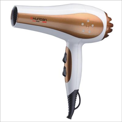 China 2021 1200W DC Motor Ionic Hot Selling Household Hair Dryer For Students Home Use for sale