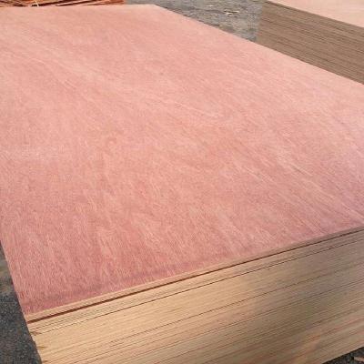 China 18mm Modern Cheap Plywood 4x8 Plywood Waterproof Okoume for sale