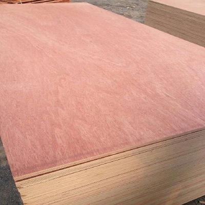 China Modern bintangor faced better commercial veneer/plywood prices for sale