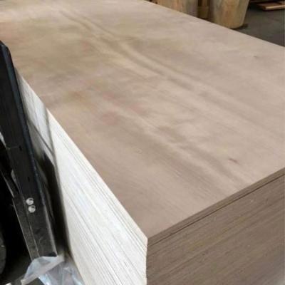 China Modern cheap 18mm sheet of plywood with mr glue/wbp /melamine/face ash glue/e0/e1/e2 oak sapeli phenolic pencil cenda/back keruing for sale