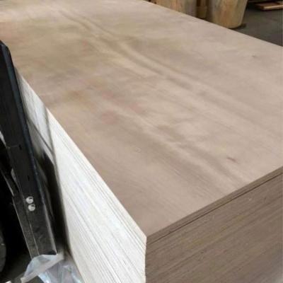 China Best Quality 18mm Modern Commercial Plywood for sale