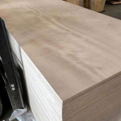 China Modern Birch Plywood Vietnam for sale