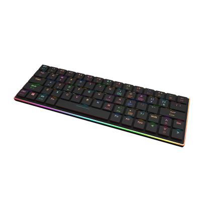 China Hot Sales Wireless 67 Keys Dual Model Wired Gaming Wireless Computer RGB Mechanical Keyboard for sale