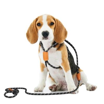 China Padded Version Leather Product Large Padded Strong Climbing Reflective Nylon Rope Dog Leash for sale