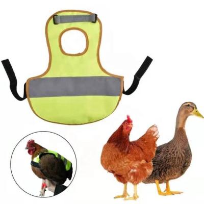 China New Design Sustainable Pet Chicken Clothes Vest Clothes Pet Reflective Vest Chicken Clothes Padded Saddle for sale