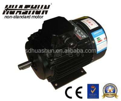 China Waterproof YS Series 3 Phase AC Induction Motor for sale