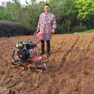 China Mini Gear Agricultural Diesel Gas Powered Drive Petrol Tiller Petrol Farm Garden Tiller Cultivators For Sale for sale