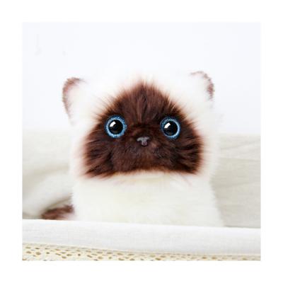 China Custom Soft Plush Toy Cat Toy Animal Stuffed Toy Decoration Factory Direct Sales for sale