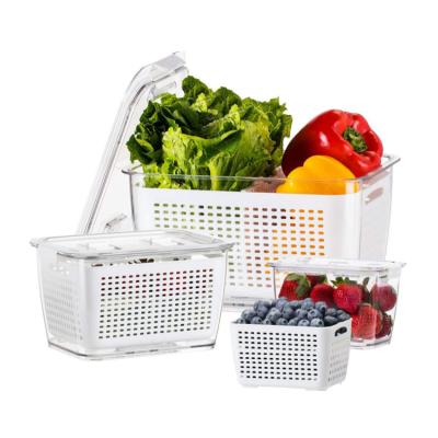 China Fresh Vegetable Fruit Storage Containers Produce Saver Fridge Food Storage Containers Keep Vegetables Fresh for sale